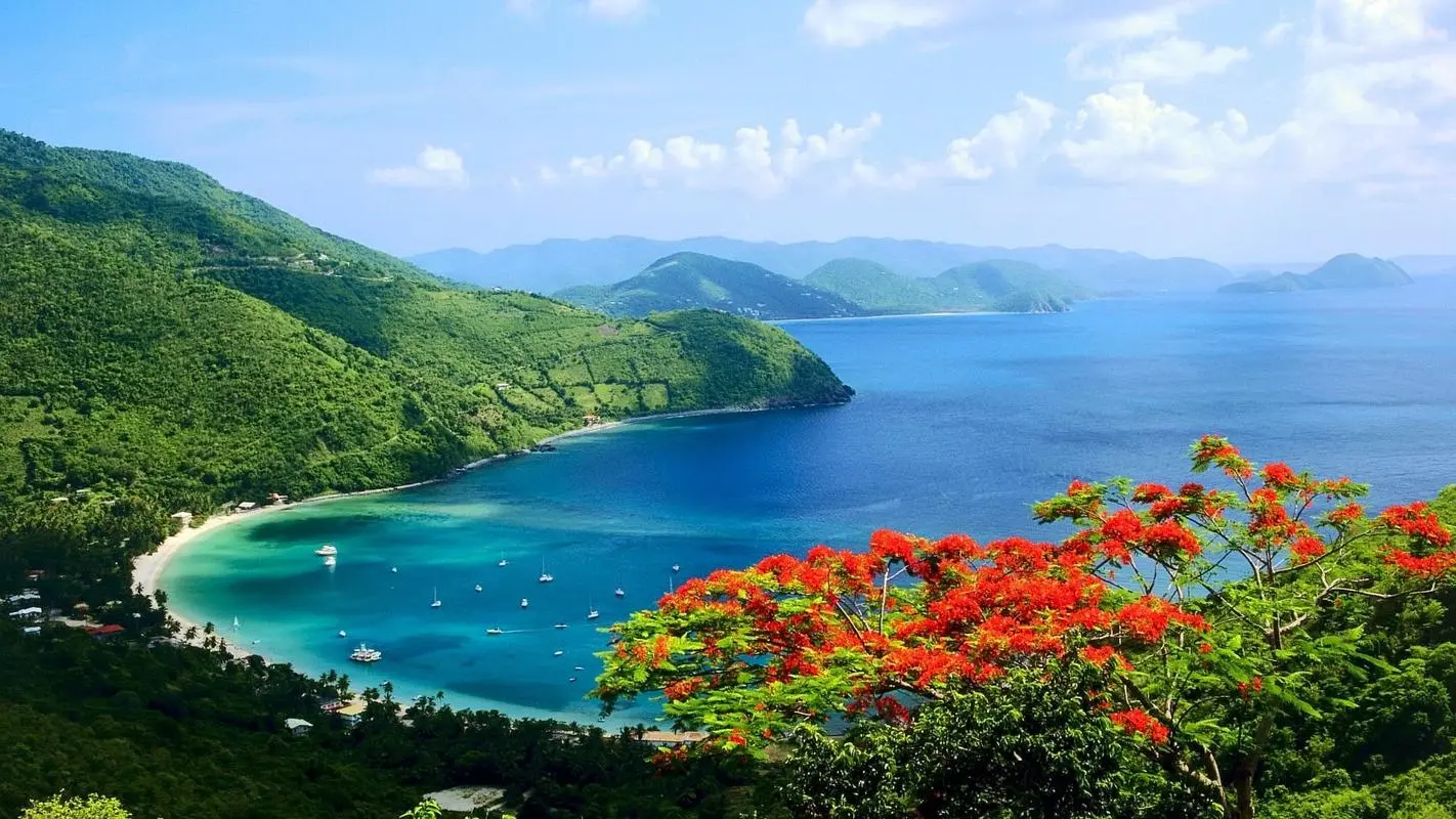 高效高性能